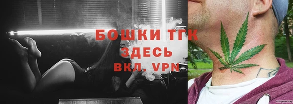 ALPHA PVP Богородицк