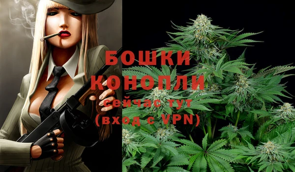 ALPHA PVP Богородицк