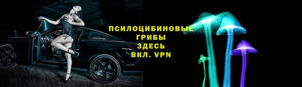 ALPHA PVP Богородицк