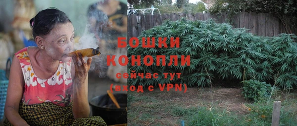 a pvp Богданович